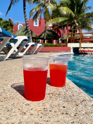 Dois copos de rum punch servidos à beira da piscina